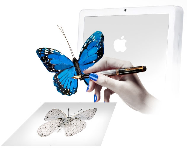 creación, diseño y maquetación